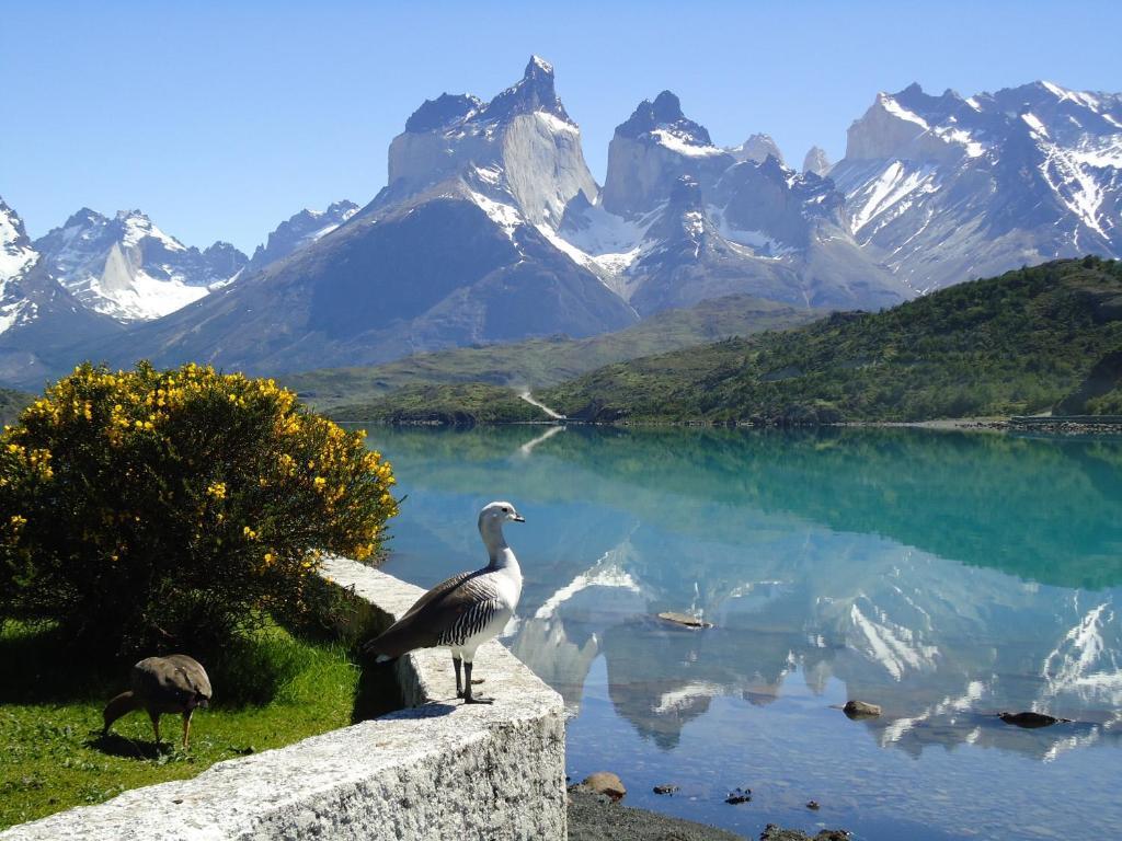 Torres del Paine National Park Hosteria Pehoe المظهر الخارجي الصورة
